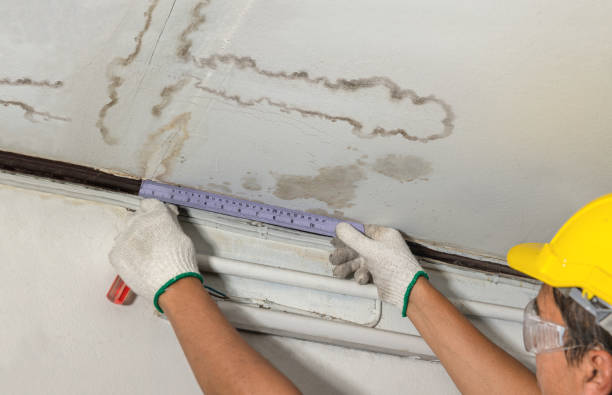 Reliable Water Damage contractor in Flat Rock, NC by Water Damage Irwin